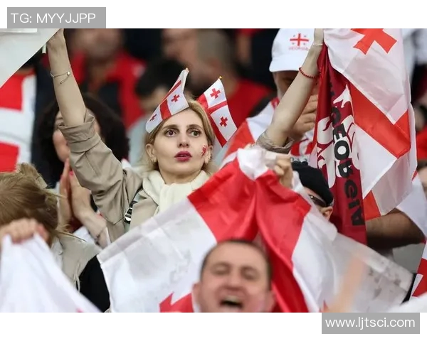 欧洲杯球迷支持与主场优势关系研究 欧洲杯球迷支持与主场优势关系研究